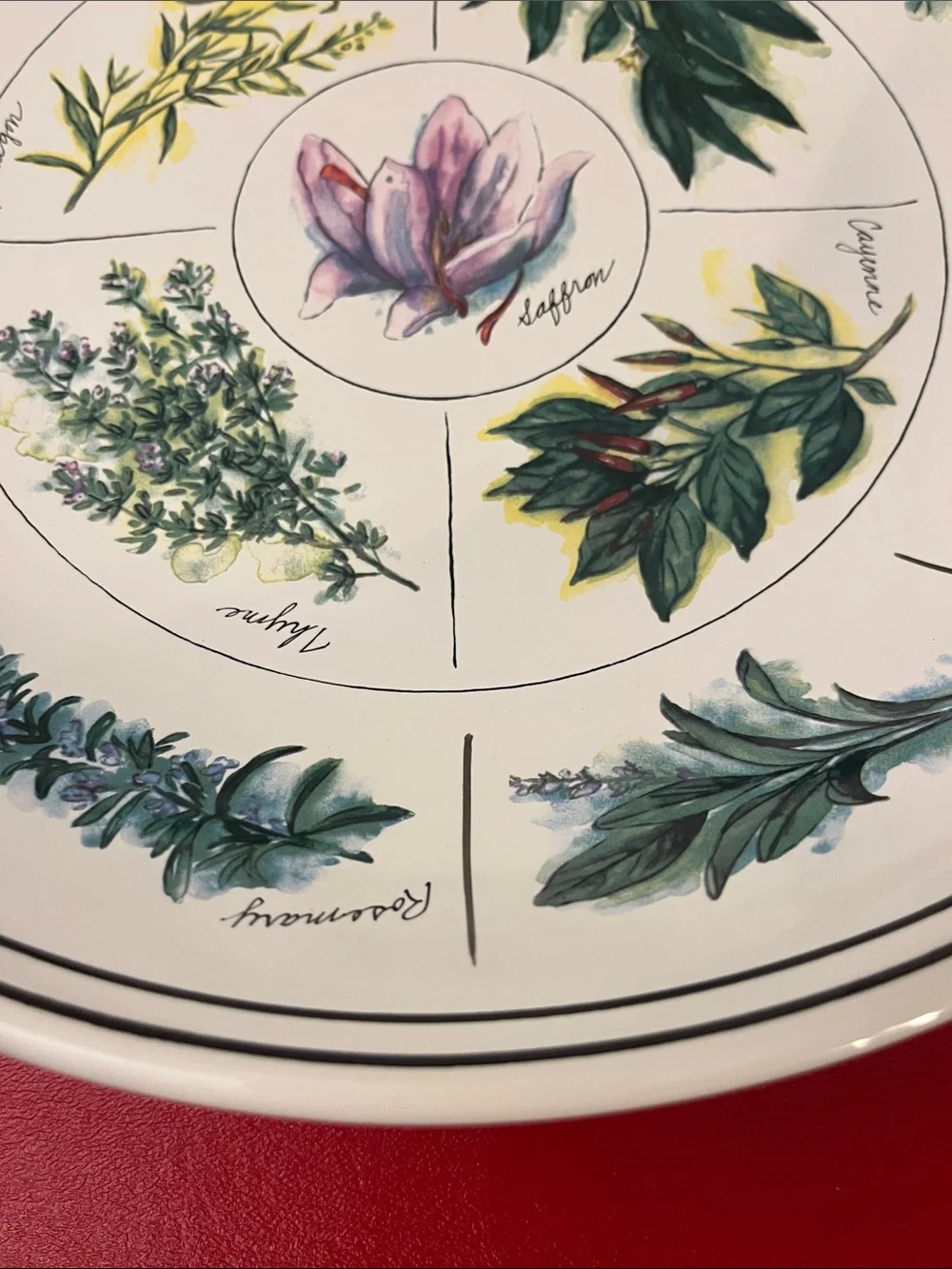WILLIAMS-SONOMA Portugal,12”3/4 D 2”3/4 H Design Ceramic PASTA SERVING BOW